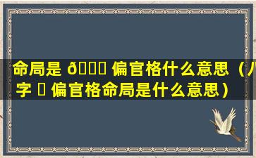 命局是 🐞 偏官格什么意思（八字 ☘ 偏官格命局是什么意思）